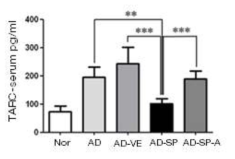 SP 처리군에서의 serum 내 TARC level 감소 (ELISA)
