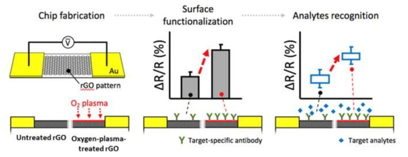 산소 플라즈마 처리를 적용한 RGO 바이오센서의 표면 활성도 향상