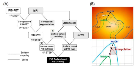 대뇌 피질모델 기반의 PIB-PET 매핑방법. 뇌 백질-회백질 내측 표면상의 vertex와 이에 대응되는 회백질-뇌척수액 경계표면상의 vertex를 이은 선 상을 5구역으로 나누고, 이후 선형보간법을 통해 평균 PIB 집적값을 구조적 자기공명 영상으로부터 얻은 대뇌 피질모델에 매핑함. 이를 기반으로 아밀로이드 PET의 정량 분석 및 아밀로이드 집적치의 가중치를 둔 대뇌 피질 분석 등의 연구를 진행함
