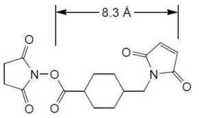 succinimidyl 4-(N-maleimidomethyl)cyclohexane-1–carboxylate (MCC)