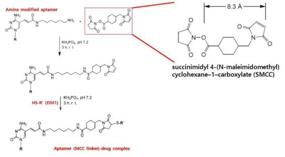 SMCC를 이용한 압타머 (MCC linker)-약물복합체의 모식도