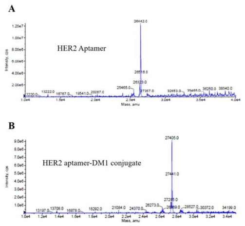 ESI-MS를 통한 (A) HER2 aptamer 및 (B) HER2 aptamer-DM1 복합체의 분자량 분석