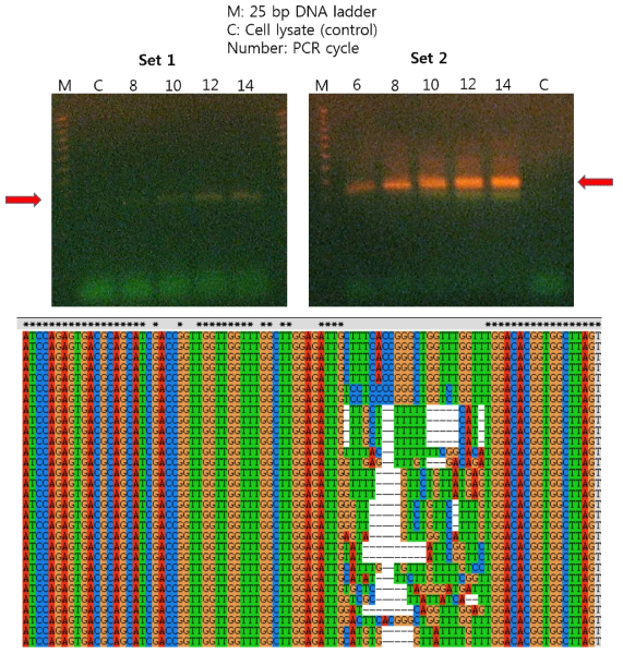 a. PCR test 및 b. 발굴한 압타머 후보군의 alignment
