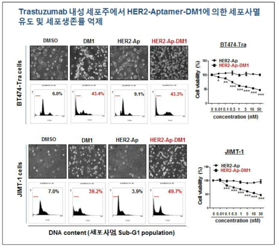 Trastuzumab 내성 세포주에서 HER2-Aptamer-DM1에 의한 세포사멸 유도 및 세포생존률 억제. Trastuzumab-resistant BT474 및 내성 JIMT-1 세포주에서, DMSO (대조군), free-DM1, HER2-Aptamer, HER2-Aptamer-DM1을 각각 10 nM의 농도로 72시간 처리한 후, 세포의 부유상태를 phase contrast microscopy로 촬영한 후, Flow cytometry로 Sub-G1을 분석함. 세포생존률은 다양한 농도의 약물 처리군에서 MTS assay기법으로 분석하였음. 세포생존률의 유의성은 Two-Way ANOVA로 검증. HER2-aptamer vs HER2-aptamer-DM1 treatment group, *, p<0.05