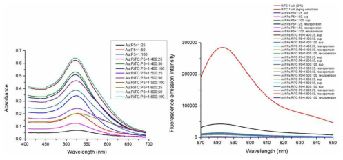 압타머와 형광물질의 비율에 따른 금 나노 입자 프로브의 UV-Vis 흡광 그래프 (좌측) 와 형광 그래프 (우측)