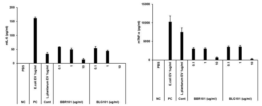 B. breve, B. longum 유래 나노소포의 항염효과