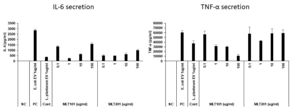 Micrococcus luteus 나노소포의 항염 효과 확인