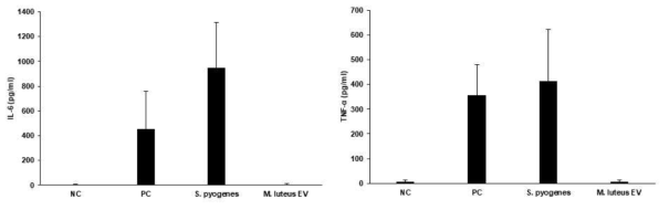 BAL fluid 내 면역 사이토카인 (IL-6, TNF-a) 확인