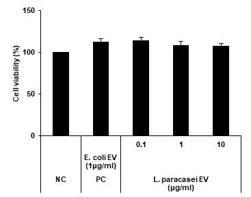 L. paracasei 유래 나노소포 처리 시, 세포생존율