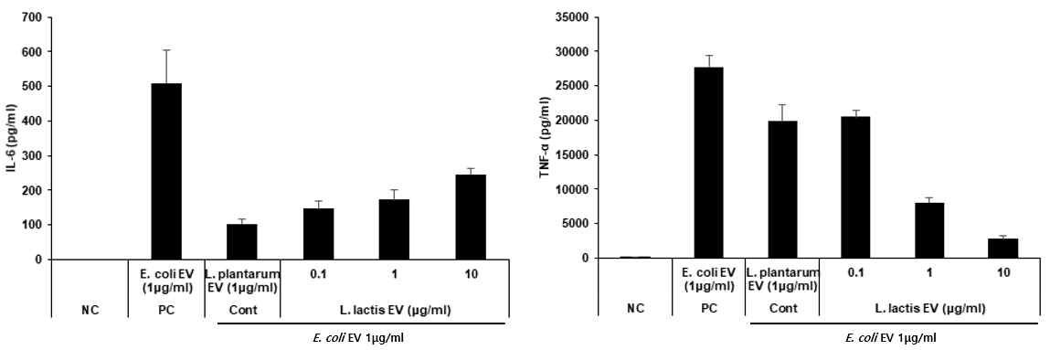 L. lactis 유래 나노소포의 항염효과