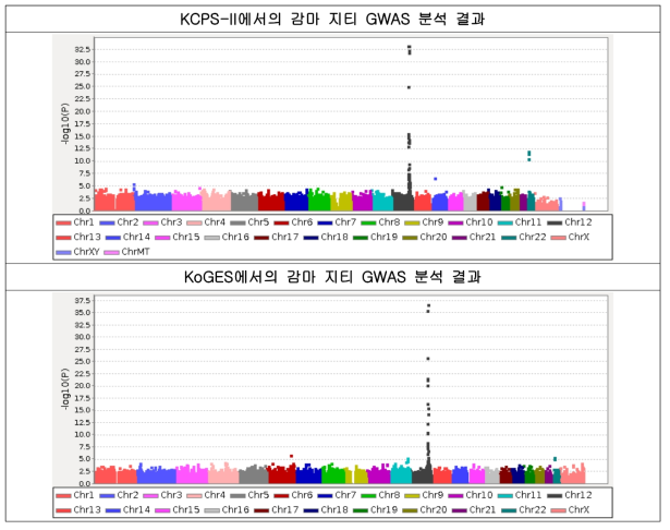 KCPS-II와 KoGES에서의 γ-Glutamyltransferase GWAS 분석 (Manhattan plot)