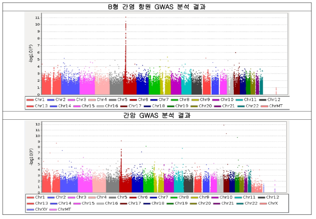 KCPS-II에서의 B형 간염 항원(위), 간암(아래) GWAS 분석 (Manhattan plot)