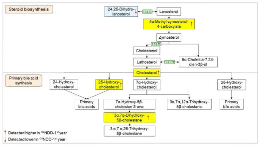 Steroid biosynthesis와 primary bile acid biosynthesis pathway