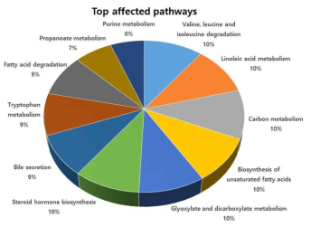 Top pathways from Kyoto Encyclopedia of Genes and Genomes (KEGG)