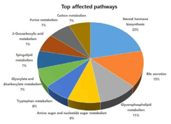 Top pathways from Kyoto Encyclopedia of Genes and Genomes (KEGG)