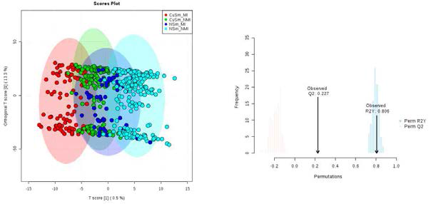 네 그룹 OPLS-DA 결과로 나타난 Score plot(좌)와 R2Y/Q2(우)