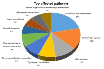 Top pathways from Kyoto Encyclopedia of Genes and Genomes (KEGG)