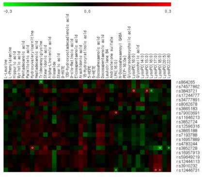 아디포넥틴 SNP과 ALT 증가 간경변 대사체의 상관성 분석 (Heat map)
