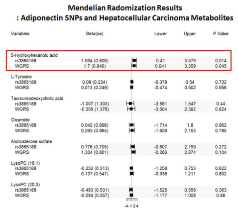 아디포넥틴 SNP과 ALT 증가 간암 대사체의 인과성 분석 (Forest plot)