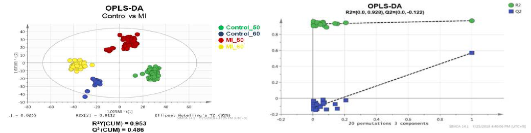 OPLS-DA를 이용한 정상인 그룹 vs 심근경색(MI)환자 그룹 혈청의 연령별 분석결과
