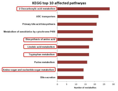 Top pathways from Kyoto Encyclopedia of Genes and Genomes (KEGG)