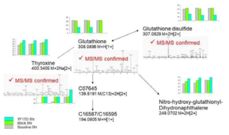 MS/MS fragmentation 패턴으로 표준물질과 비교하여 확인검증