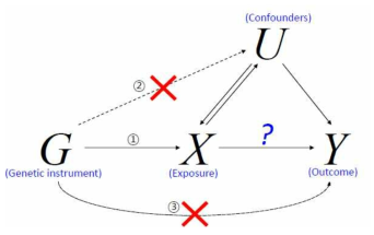 Mendelian Randomization 분석방법 모식도