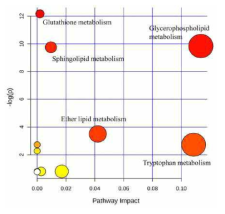 후두암 흡연 vs 대조군 흡연 KEGG pathway 분석 결과