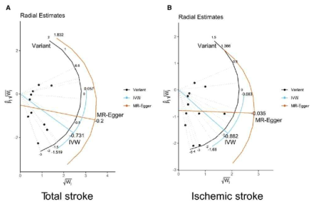 혈청 빌리루빈 수치와 뇌졸중의 Mendelian randomization 결과 Radial plot