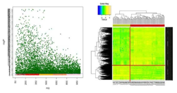 정상인과 폐암 환자군 간 Manhattan plot (좌)와 2-way hierarchical cluster analysis (우)