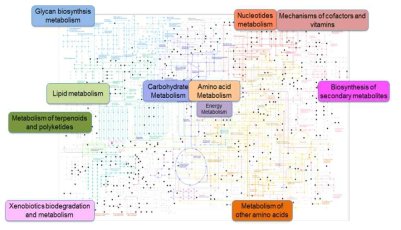 정상인과 폐암 환자군 간 Kyoto Encyclopedia of Genes and Genomes (KEGG) pathway mapping