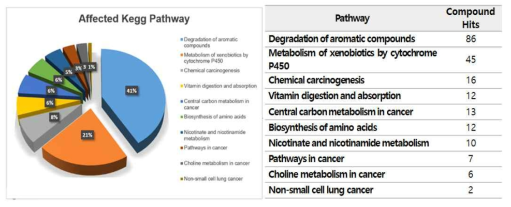 KEGG 결과로 나타난 top 10 pathways