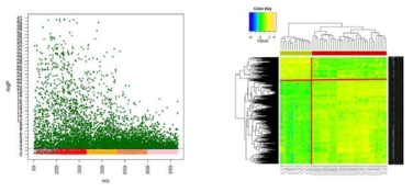 비 흡연 정상인과 현재 흡연 폐암 환자군 간 Manhattan plot (좌)와 2-way hierarchical cluster analysis (우)