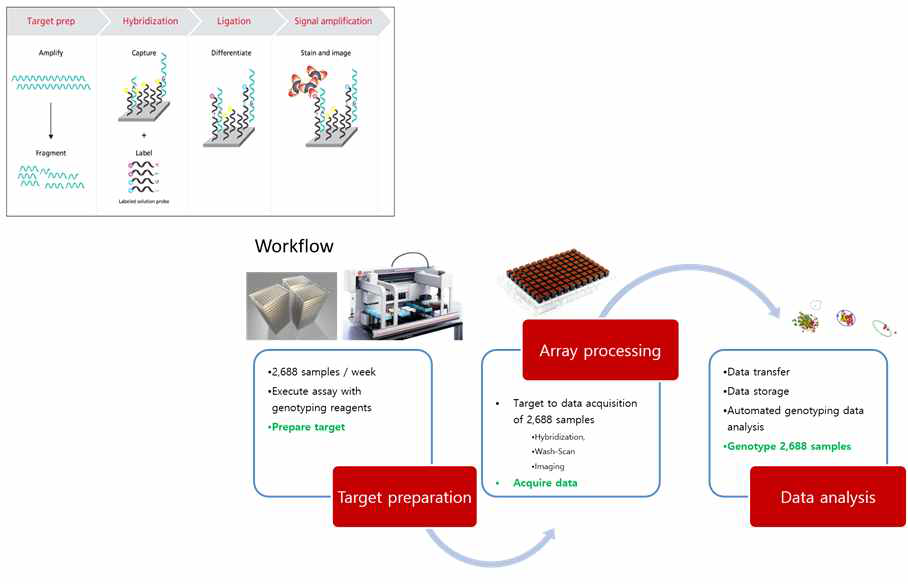 Affymetrix GeneTitan Protocol