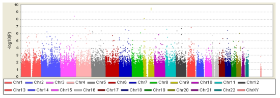 Manhattan Plot of the p values regarding to fasting blood glucose level GWAS