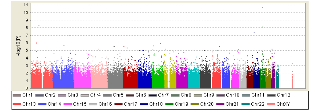 Manhattan Plot of the p values regarding to serum triglyceride level GWAS