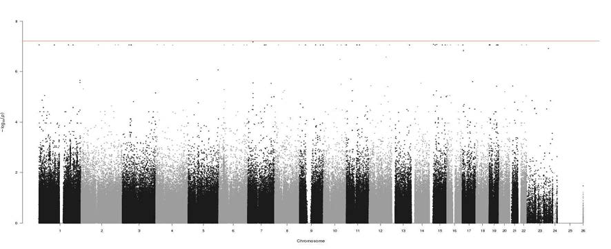 Manhattan Plot of the p values regarding to estimated GFR level GWAS