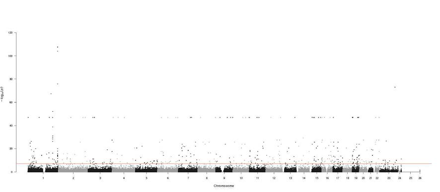 Manhattan Plot of the p values regarding to serum creatinine level GWAS