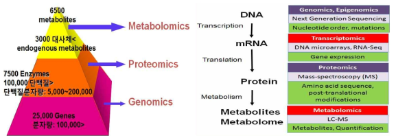 Metabolites are the building blocks for genomics and proteomics