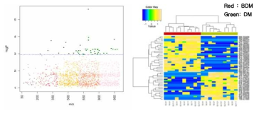 BDM과 DM간 Mahattan plot(좌)과 2-way hierarchical cluster analysis(우)