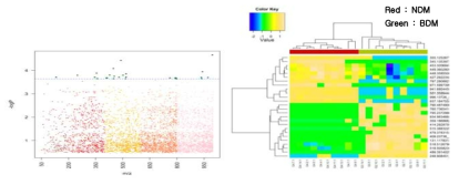 NDM과 BDM간 Mahattan plot(좌)과 2-way hierarchical cluster analysis(우)