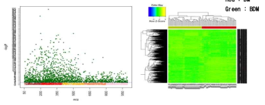 BDM와 DM(1,2)간 Mahattan plot(좌)과 2-way hierarchical cluster analysis(우)