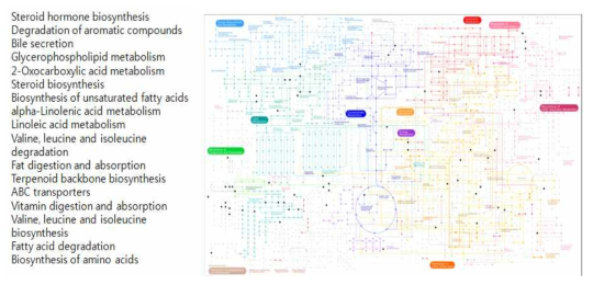 KEGG Pathway 중 Metabolic pathways map