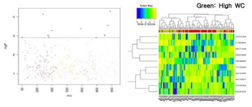 Low waist와 High waist 간 Mahattan plot(좌)과 2-way hierarchical cluster analysis(우)