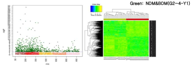 NDM & BDM와 DM1 간 Mahattan plot(좌)과 2-way hierarchical cluster analysis(우)