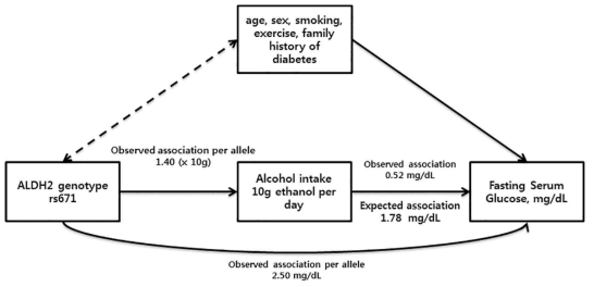 남자에서의 알콜 섭취와 공복시 혈당 사이의 Mendelian Randomization 분석 모식도: the KCPS-II Biobank