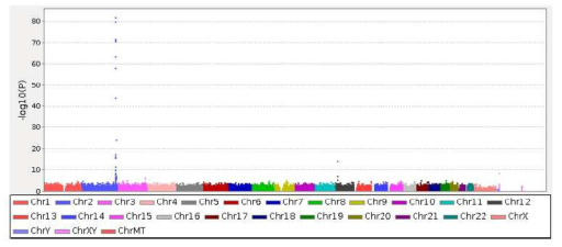 Summary of significance in the genome wide analysis of log (total bilirubin) levels in the 5 381 KCPS-II Biobank sample. The statistical significance [- log10 (p-value)] from a linear regression that included age, gender, smoking status, and body mass index as covariates