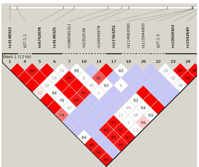 Linkage disequilibrium as measured by r2 in UGT1A1 model in 5,381 Korean adults. White: r2=0 Shades of gray: 0<r2<1 Red: r2=1