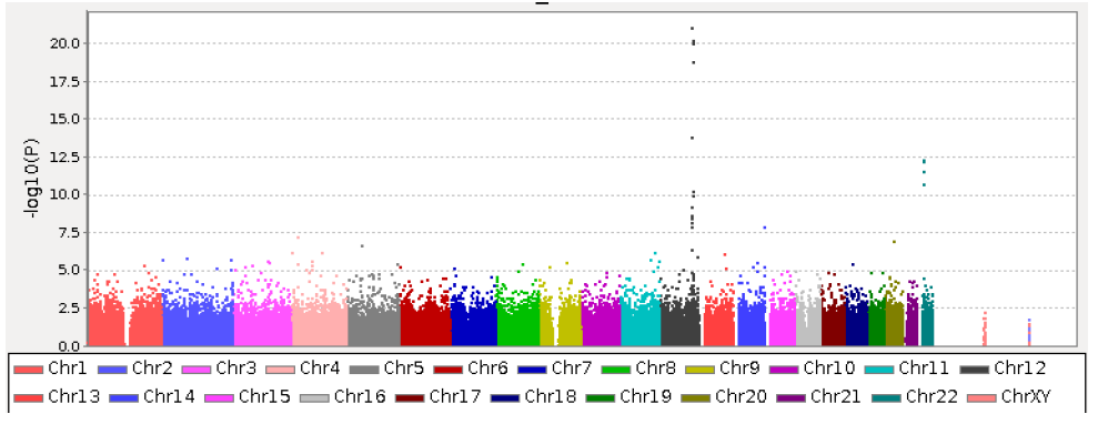 Manhattan Plot of the p values regarding to serum GGT level in GWAS