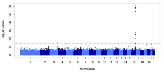 Manhattan Plot of the p values regarding to serum aiponectin level in GWAS